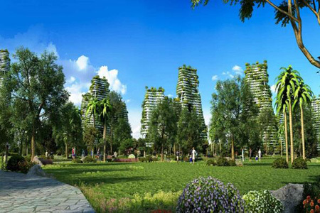 降溫了！襄陽園林公司分享植物萎蔫后的養(yǎng)護(hù)和復(fù)壯 