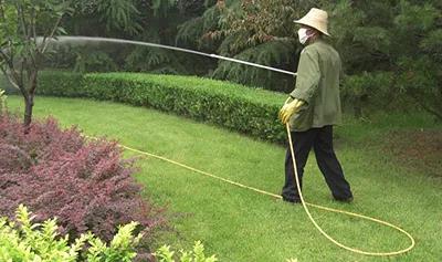 干貨：喬木移栽保證成活的12大方法！