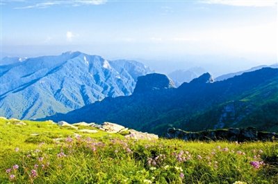  秦嶺國家公園設立后，會有啥不一樣？