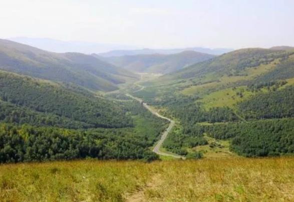 國家森林公園被“毀容”，誰在選擇性“失明”？