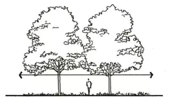 干貨 | 一文看懂，園林景觀植物設(shè)計(jì)！