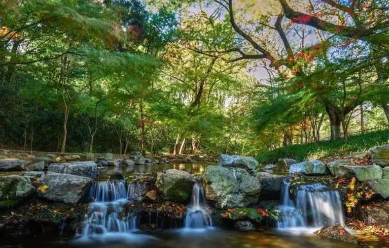 湖北凱蒂園林分享園林綠化設(shè)計要點(diǎn)分析